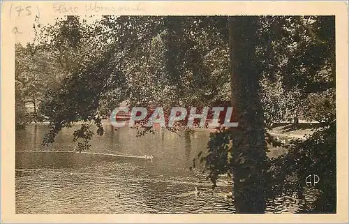 Ansichtskarte AK Paris Parc Montsouris le Lac