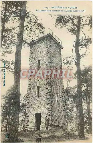 Cartes postales Bruyeres en Vosges le Mirador au Sommet de l'Avison (alt 601m)