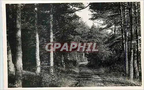 Cartes postales moderne Environs de Vernoux l'Ardeche Illustree Route de Grozon pres Chabreyt