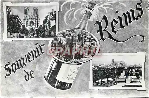 Cartes postales moderne Souvenir de Reims la Cathedrale vue Generale prise des Ets Pommery Champagne