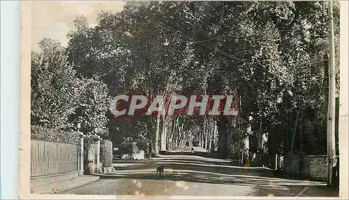 Cartes postales moderne Paray le Monial (S et L) Avenue de Charolles