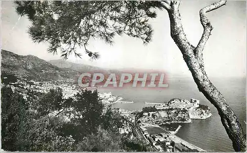 Cartes postales moderne Principaute de Monaco vue Generale