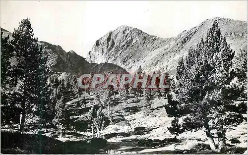 Cartes postales moderne Le Canigou (P O) 2785m