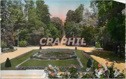 Cartes postales moderne Vittel la Grande Allee devant le Casino