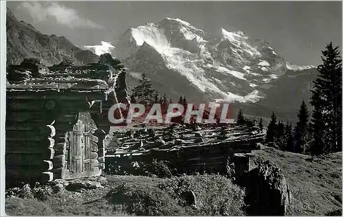 Moderne Karte Bei Wengen die Jungfrau 4158m