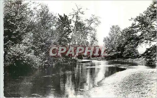 Moderne Karte Mont Saint Sulpice (Yonne) la Plage