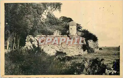 Cartes postales moderne Remparts de Brouage