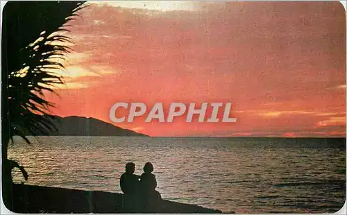 Cartes postales moderne Puerto Vallarta Jalisco Mexico Romance Under the Setting Sun in Pto