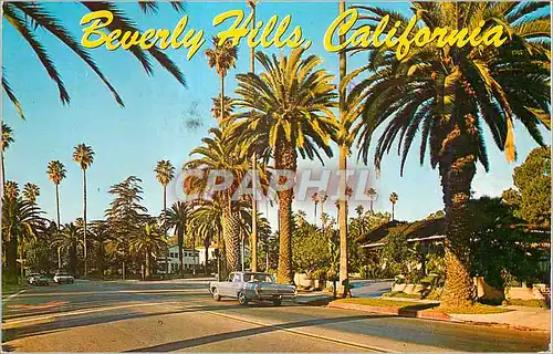 Cartes postales moderne Beverly Hills California Typical Residential Street in one of the World's most Beautiful and Fam
