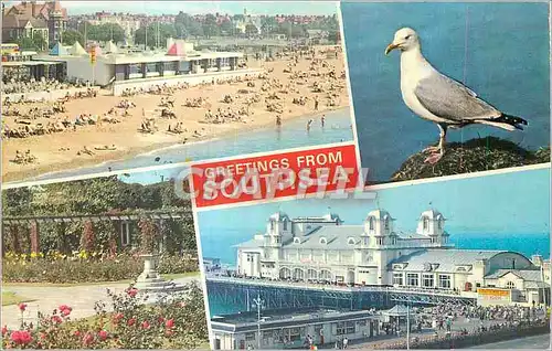 Cartes postales moderne Greetings from Southsea the Beach Seaguil South Parade Pier