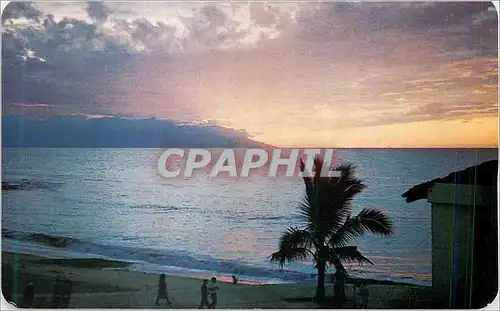 Cartes postales moderne Puerto Vallarta Mexico Beautiful Twilight View