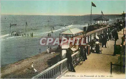 Cartes postales Cabourg la Promenade de la Mer