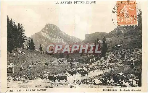 Cartes postales Roselend les Hauts Paturages les Alpes de Savoie la Savoie Pittoresque Vaches