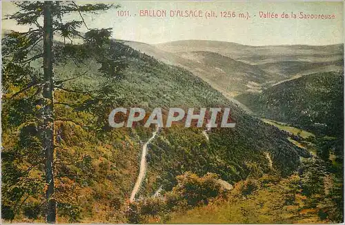 Cartes postales Ballon d'Alsace (alt 1256m) Vallee de la Savoureuse