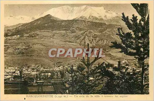 Cartes postales Barcelonnette (1142m) un Coin de la Ville a Travers les Sapins