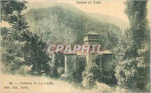 Cartes postales Chateau de la Caze Gorges du Tarn