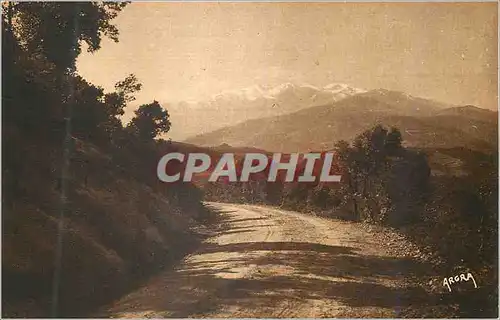 Cartes postales Pyrenees Orientales Le Canigou vu de la Route d'Espagne (Environs du Boulou)