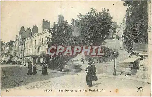 Cartes postales Blois Les Degres et la Rue Denis Papin