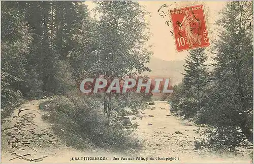Cartes postales Jura Pittoresque Une vue sur l'Ain pres champagnole