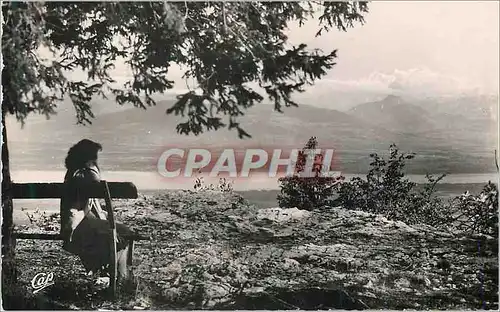 Cartes postales moderne Divonne les Bains Panorama sur le Lac et le Mont Blanc