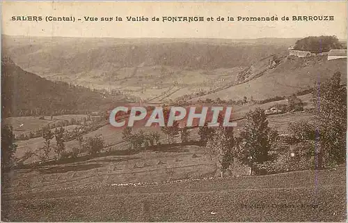 Ansichtskarte AK Salers (Cantal) Vue sur la Vallee de Fontange et de la Promenade de Barrouze