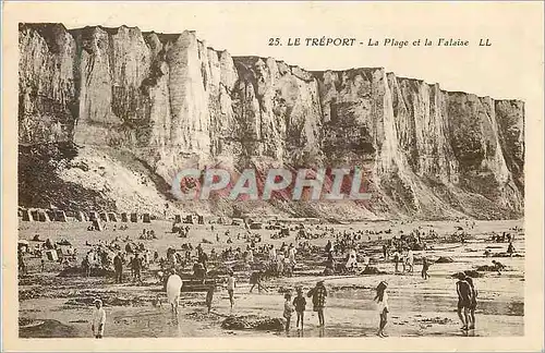 Cartes postales Le Treport La Plage et la Falaise