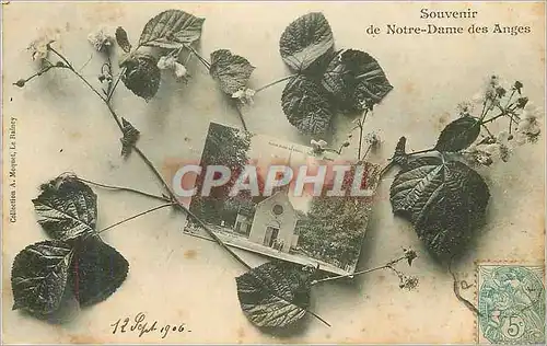 Cartes postales Souvenir de Notre Dame des Anges Clichy