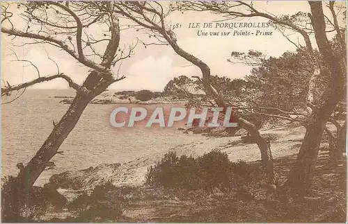 Cartes postales Ile de Porquerolles Une Vue sur Pointe Prime