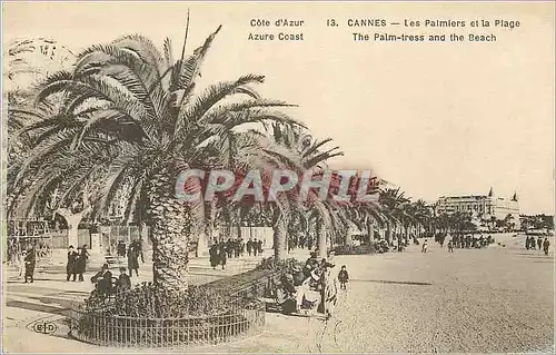 Cartes postales Cannes Les Palmiers et la Plage Cote d'Azur