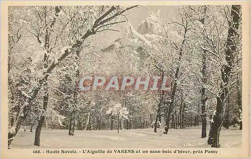 Cartes postales Haute Savoie L'Aiguille de Varens et un sous bois d'hiver pres Passy