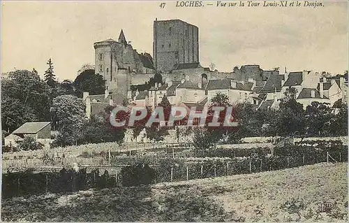 Cartes postales Loches Vue sur la Tour Louis XI et le Donjon