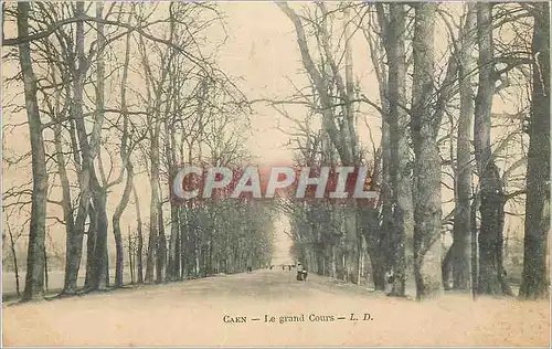 Cartes postales Caen Le grand Cours