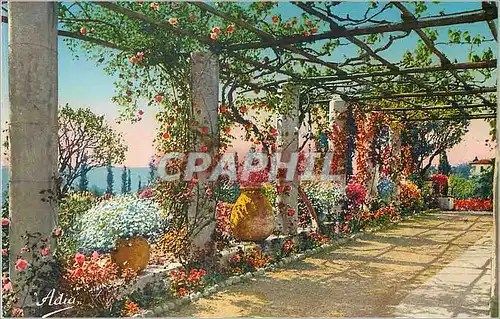 Cartes postales La Cote d'Azur Pergon Fleurie