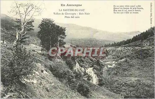 Ansichtskarte AK En Auvergne La Bastide du Fau Vallon de Chavaspre Bois Noir Pissa del coin