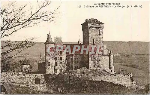 Cartes postales Le Cantal Pittoresque Chateau de Pestiels Le Donjon (XIVe siecle)