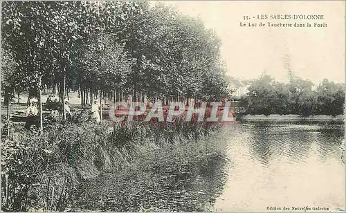 Cartes postales Les Sables d'Olonne Le Lac de Tauchette dans la Foret