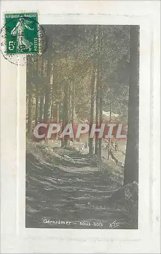 Cartes postales Gerardmer sous bois