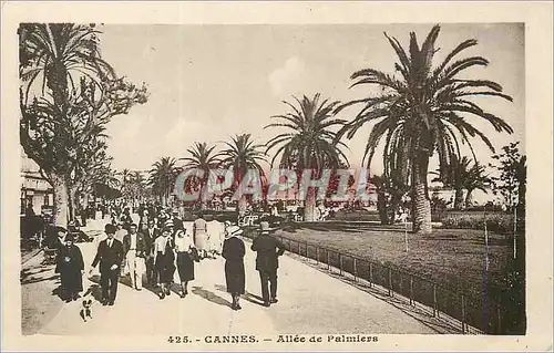 Ansichtskarte AK Cannes Allee de Palmiers