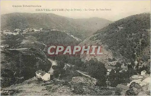 Cartes postales Cures Intestinales Chatel Guyon (Puy de Dome) Le Gorge de Sans Souel
