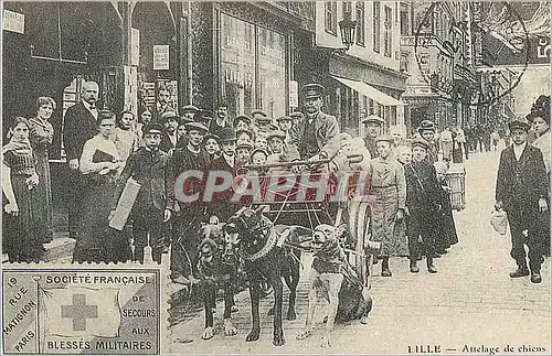 REPRO Lille Attelage de chiens Croix Rouge