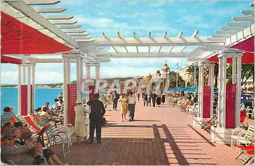 Cartes postales moderne Nice Flanerie le Long de la Promenade des Anglais