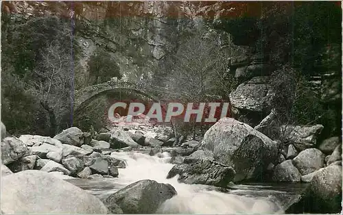 Cartes postales moderne La Spelunca Corse Le Pont Genois