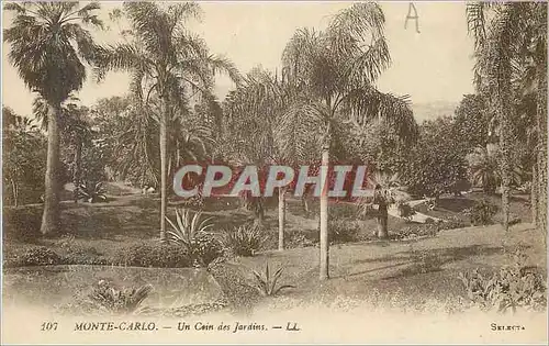 Cartes postales Monte Carlo un coin des Jardins