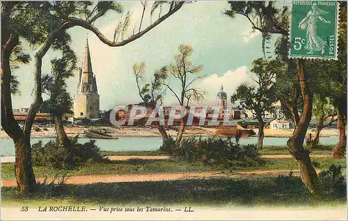 Cartes postales La Rochelle Vue prise sous les Tamarins