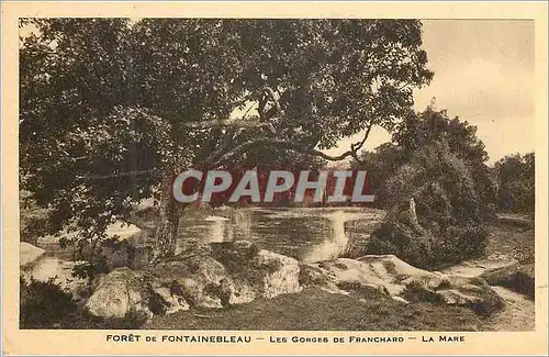 Cartes postales Foret de Fontainebleau Les Gorges de Franchard La Mare