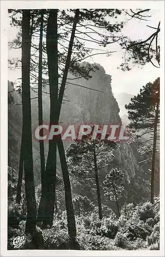 Cartes postales moderne Piana Contre jour dans les Calanches