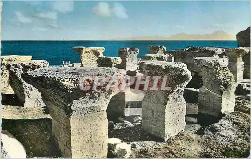 Cartes postales moderne Carthage (Tunisie) Les Thermes d'Antonin