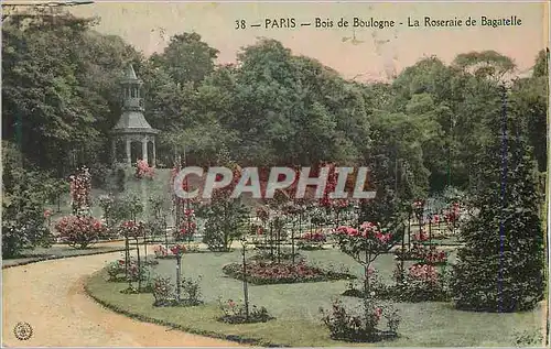 Cartes postales Paris Bois de Boulogne La Roseraie de Bagatelle