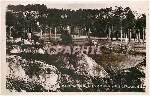 Cartes postales moderne Foret de Fontainebleau Vue sur le Desert d'Apremont