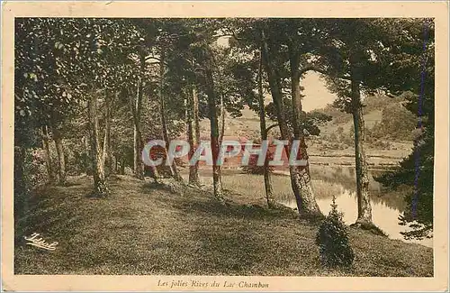 Ansichtskarte AK Les Jolies Rives du Lac Chambon